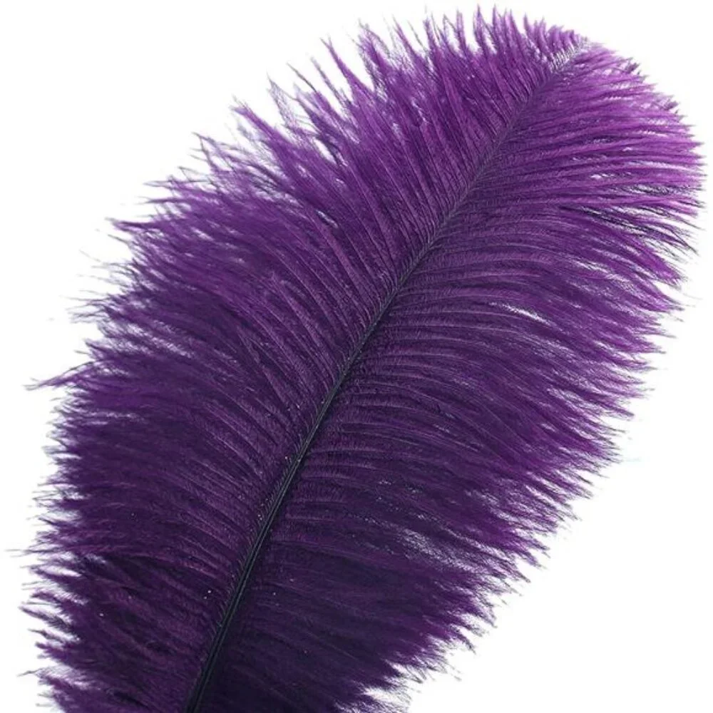 Purple Ostrich Feathers Bulk -24Pcs 10-12inch Feathers for Vase,Party Mardi Gras